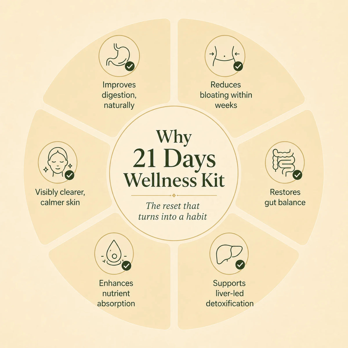 21 Days Wellness Kit for digestion, bloating relief, gut health and natural detox