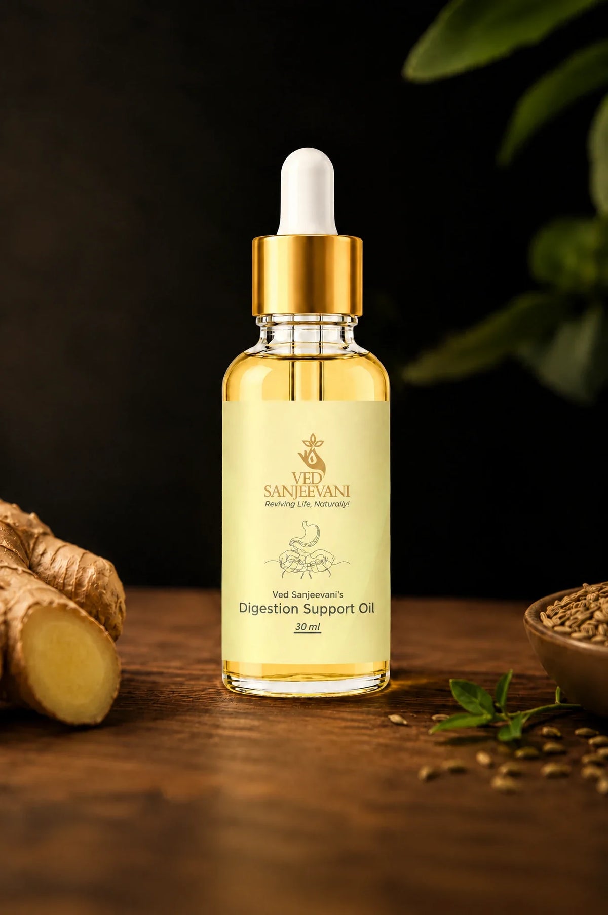 Ved Sanjeevani Digestion Support Oil Nabhi Oil